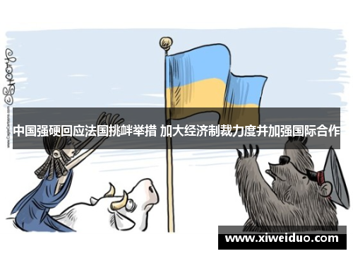 中国强硬回应法国挑衅举措 加大经济制裁力度并加强国际合作