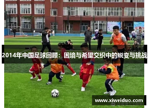 2014年中国足球回顾：困境与希望交织中的蜕变与挑战