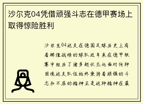 沙尔克04凭借顽强斗志在德甲赛场上取得惊险胜利